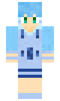 PPrecover minecraft skin