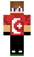 Bozdyx minecraft skin