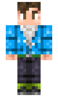 FoilMyPlans minecraft skin