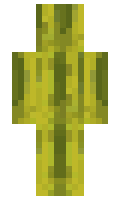 0ae5e9bf7fa202 minecraft skin