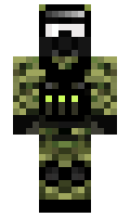 as110 minecraft skin