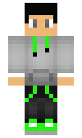 Tests minecraft skin