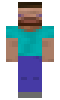 Hokzzii minecraft skin