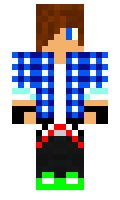 Wolter minecraft skin