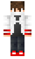 Cordinal minecraft skin