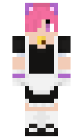 VIL100 minecraft skin