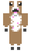 0b4c13c192a27f minecraft skin