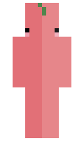 0b4e1236e7efa9 minecraft skin
