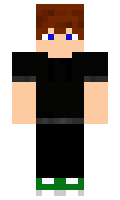 SiwySKo minecraft skin