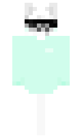 0ba483a01e6fdf minecraft skin