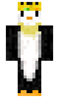 swirldragon minecraft skin