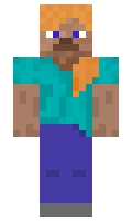 0c14f995b4a429 minecraft skin