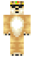 idol minecraft skin