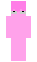 serveur minecraft skin