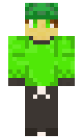 TurtleTub minecraft skin