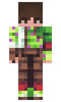 0c389f19a6f6c8 minecraft skin
