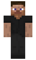 salaviin minecraft skin