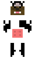 9466 minecraft skin