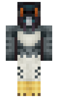 DONH minecraft skin