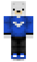 PolarMC minecraft skin