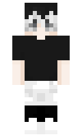 DrakoshaTosha minecraft skin