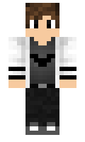 RIDIC minecraft skin