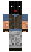 American minecraft skin