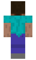 agentsnover minecraft skin