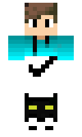 0cd51e6cde761c minecraft skin