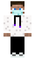 jan minecraft skin
