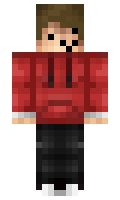 mlupra minecraft skin