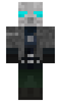 nasfi minecraft skin