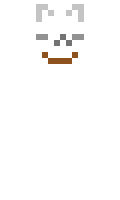 arczi minecraft skin