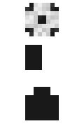 Ashgate minecraft skin