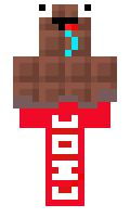 0e5c91cfcb121a minecraft skin