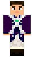 Toasty3303 minecraft skin