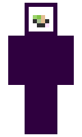 soggyx minecraft skin