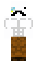 pierozek14 minecraft skin