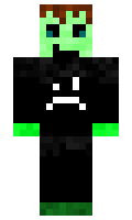 alto424 minecraft skin