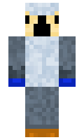 0f15d6c6ae8426 minecraft skin