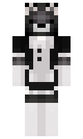 Shadowspace minecraft skin