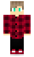 DxReadTr minecraft skin