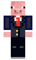 0f37fa4e345ee5 minecraft skin