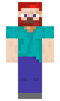 neub minecraft skin