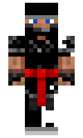 Swiki minecraft skin