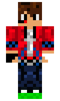 selevergamer minecraft skin