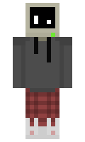 vSalt minecraft skin