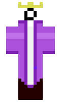 10113eb8feccfd minecraft skin