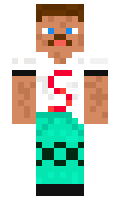 Sunnyboy17 minecraft skin