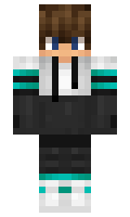 1029a1cd6aff2d minecraft skin